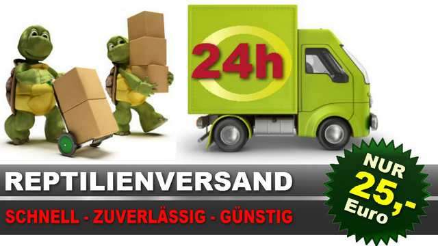 Reptilien Shop, Terraristikzubehör, Futterinsekten und Frostfutter